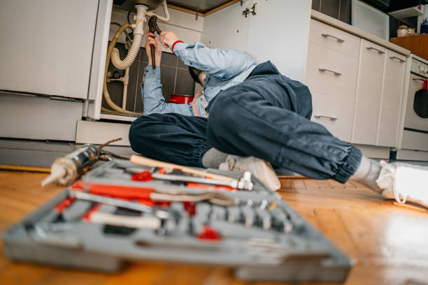 Best Local Plumber Services  in Meridian Village, CO