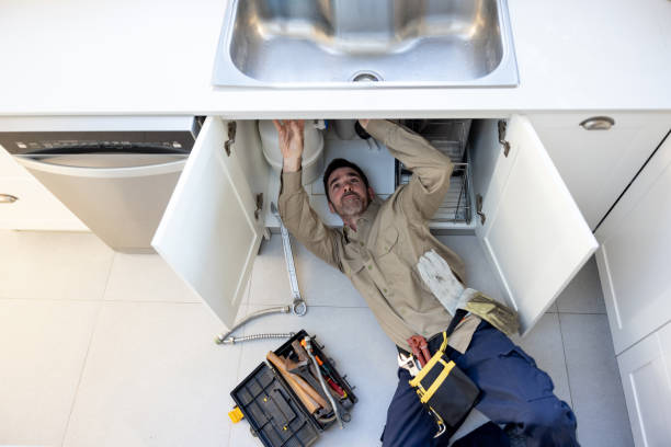 Best Affordable Plumber Near Me  in Meridian Village, CO