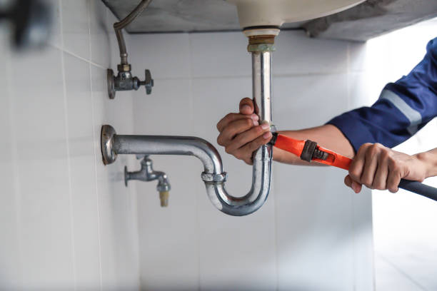 Best Commercial Plumbing Services  in Meridian Village, CO