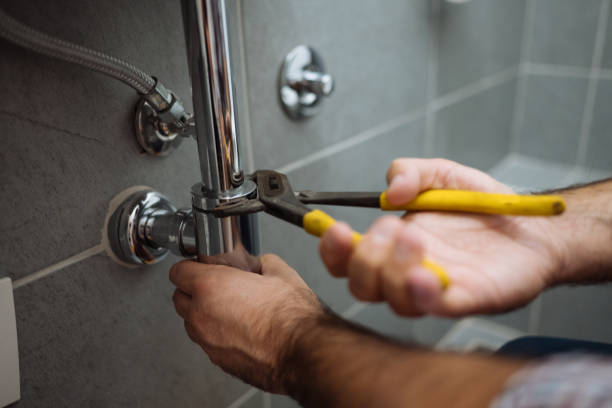 Best Affordable Plumber Near Me  in Meridian Village, CO